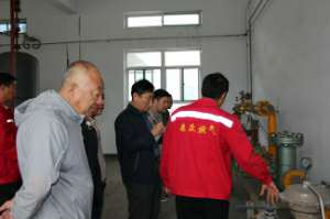 拜泉县相关领导考察大发·体育-大发(中国)燃气